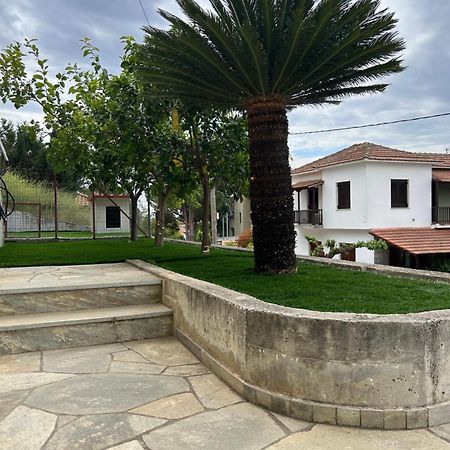 Athena'S Luxury Place Agria Zewnętrze zdjęcie