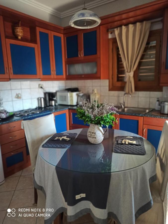 Athena'S Luxury Place Agria Zewnętrze zdjęcie